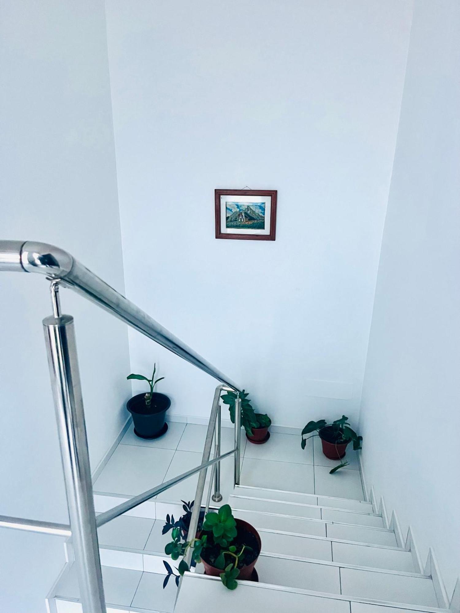 ポンタ・ド・ソルOasis De Retourアパートメント エクステリア 写真